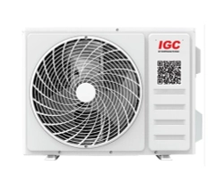 IGC RAS-V09AT