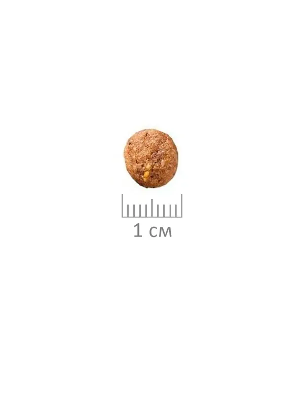 Сухой корм ProBalance Gourmet Diet для взрослых кошек с говядиной и кроликом