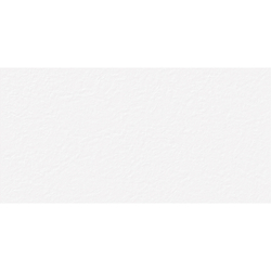 ARTE WHITE 60х120 5мм MATT