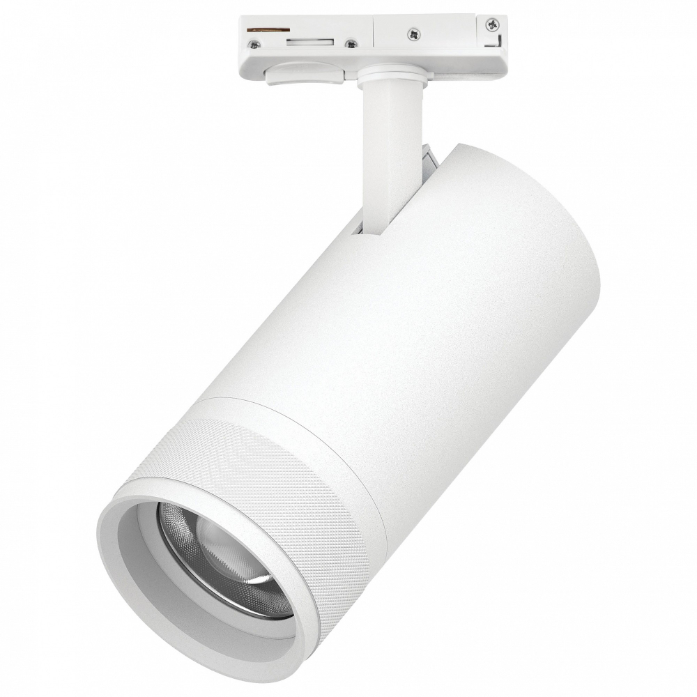 Светильник на штанге Lightstar Canno Pro C4306SS