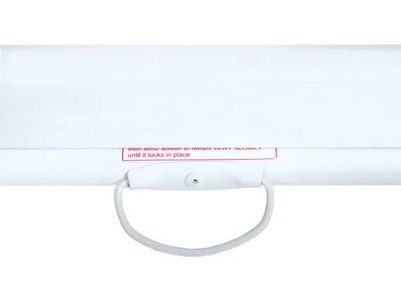 LEP-100113 Настенный экран Lumien Eco Picture