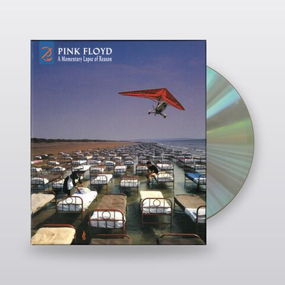 Pink Floyd — A Momentary Lapse Of Reason (CD)