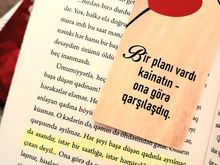 Kəpənək mövsümü