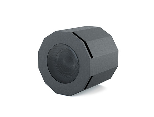CVGaudio SUBone Model D-6
