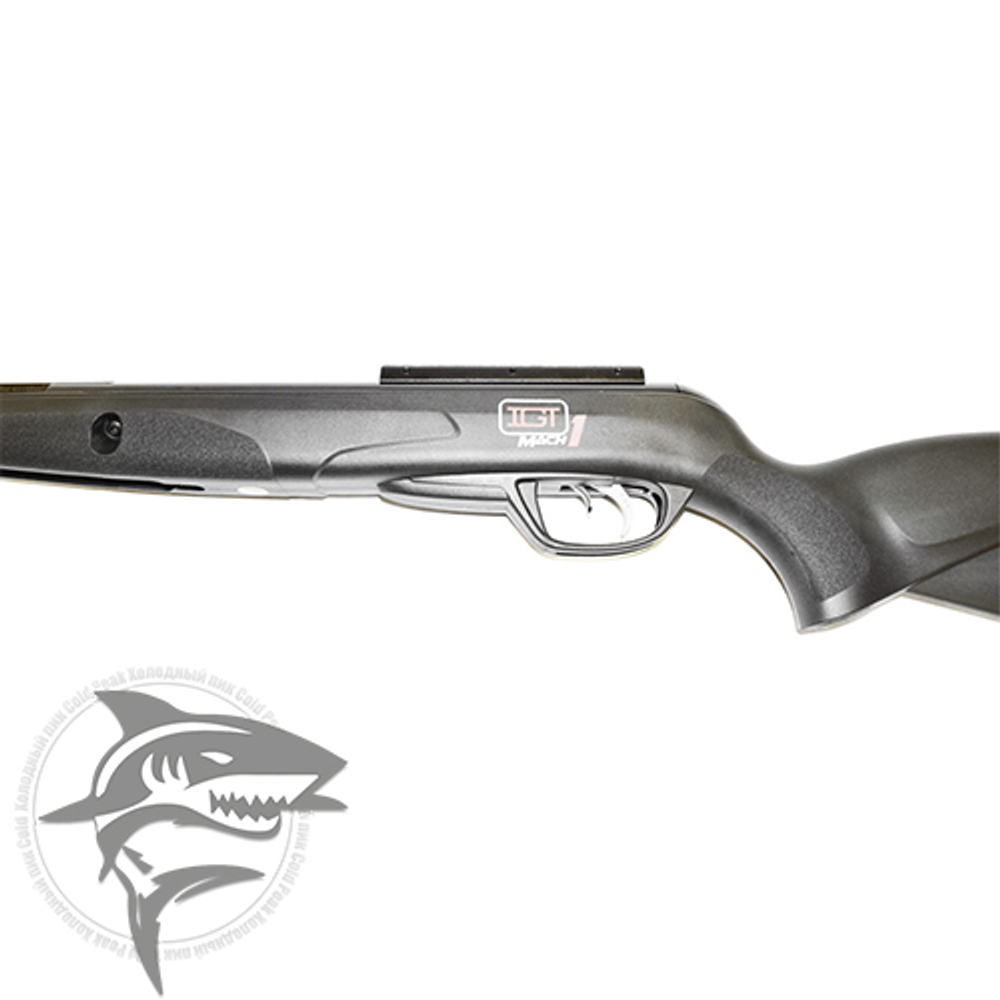Винтовка пневматическая GAMO Black Bull IGT