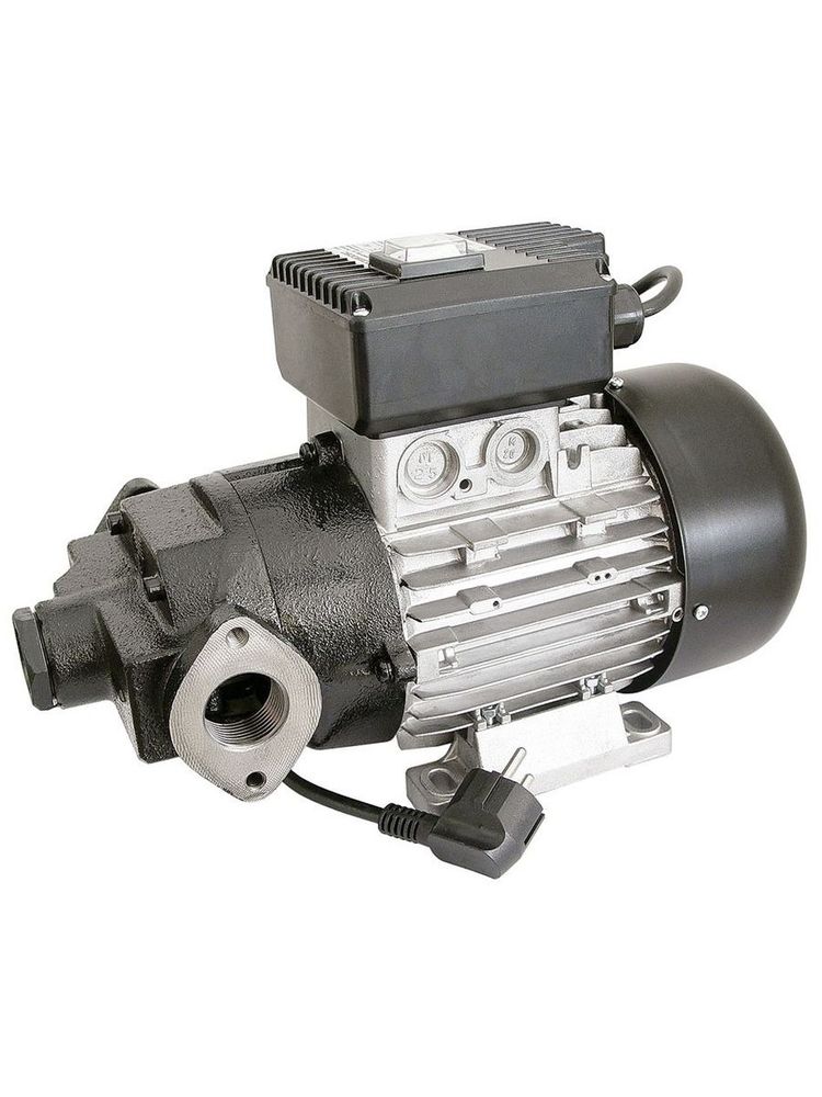 AG-100 230 VAC - Самовсасывающий роторный лопастной электронасос для ДТ AG-100 230 VAC - Самовсасывающий роторный лопастной электронасос для ДТ