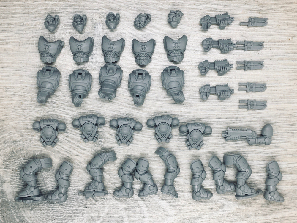 Primaris Incursors