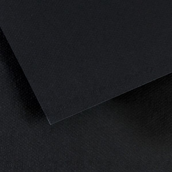 Бумага для пастели Mi-Teintes 160 г/м², A4 21х29.7 см, 25 л, №425 черный, Canson, C31036S038