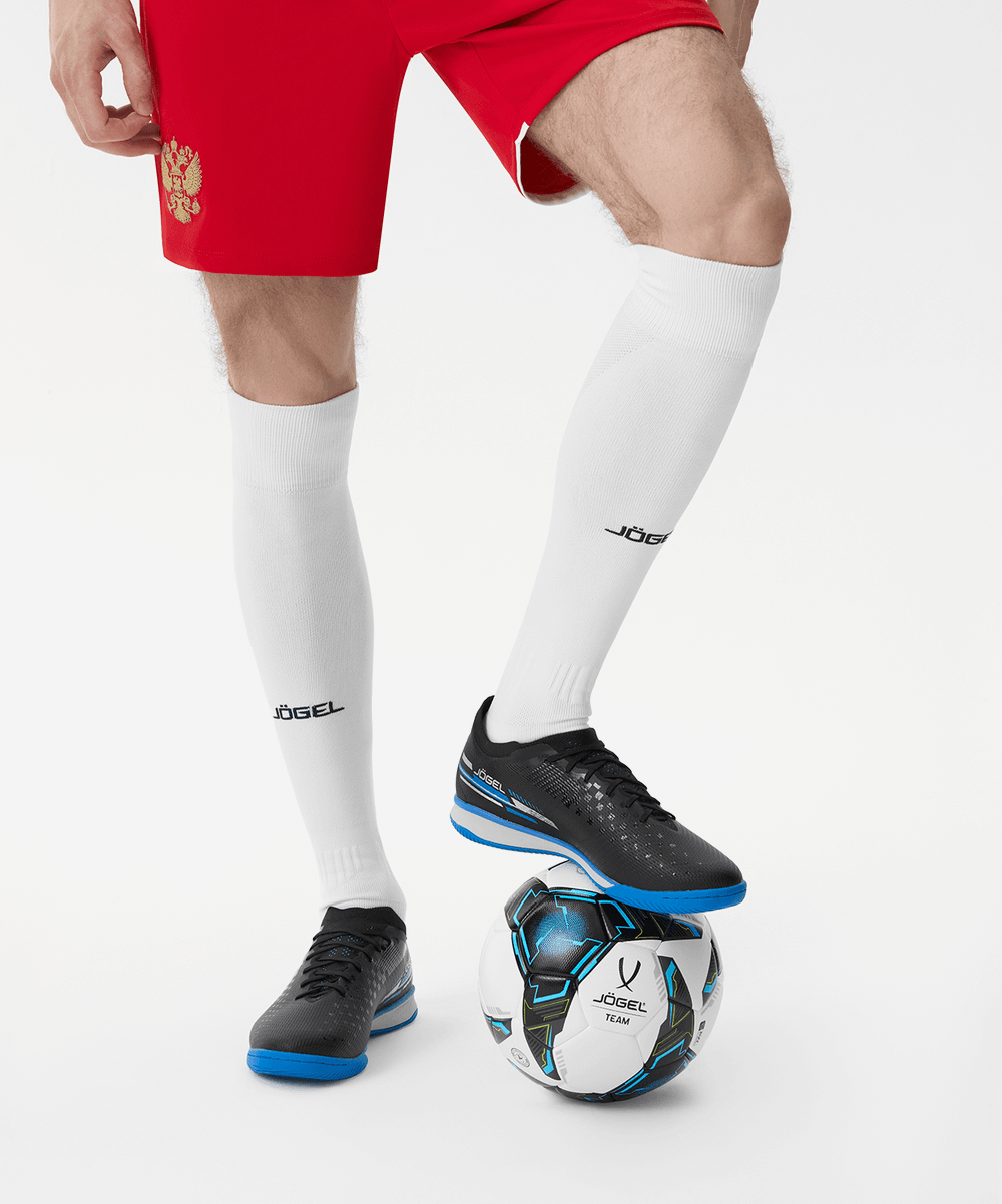 Бутсы зальные Evofly IN PRO Black/blue