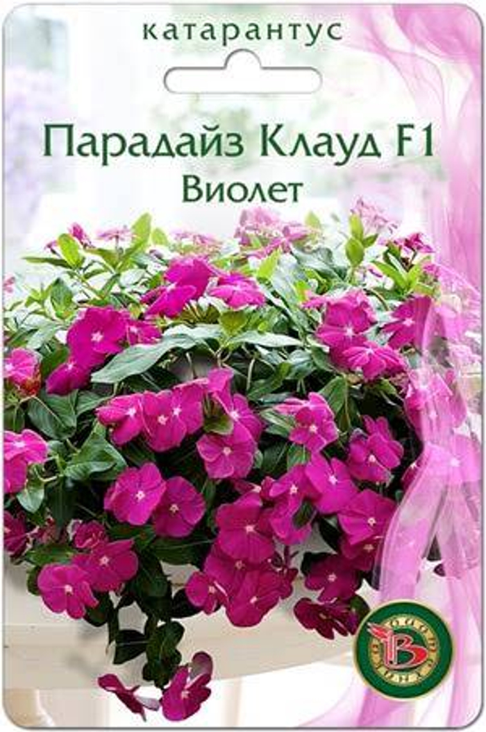 Катарантус (Винка) Парадайз Клауд F1 Бургунди 5шт (Биотехника)
