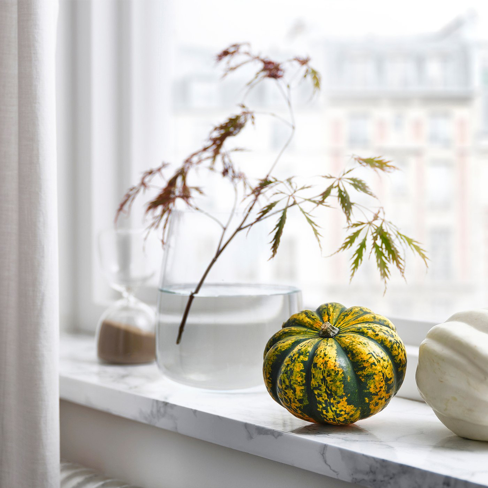 IKEA CUCURBITA  (ИКЕА СУСУРБИТА)  -  Тыква декоративная - разные