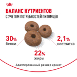 Royal Canin Giant Starter Mother & Babydog Джайнт Стартер Мазе энд Бебидог Корм для щенков гигантских пород в период первой фазы и отъема 4кг