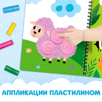 Книга Многоразовые аппликации пластилином