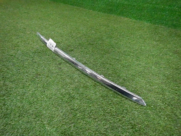 DSCN8763.JPG