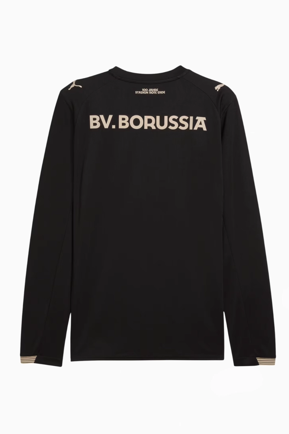 Футболка с длинными рукавами Puma Borussia Dortmund 25/26 Special Edition - черный