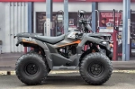 Квадроцикл LONCIN Xwolf 200 (9л)