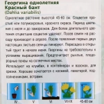 Семена Георгина Красный бант 0,3гр 20082431