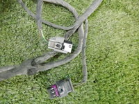 DSCN9395.jpg
