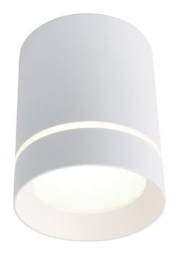 Накладной точечный светильник A1909PL-1WH белый Elle Arte lamp
