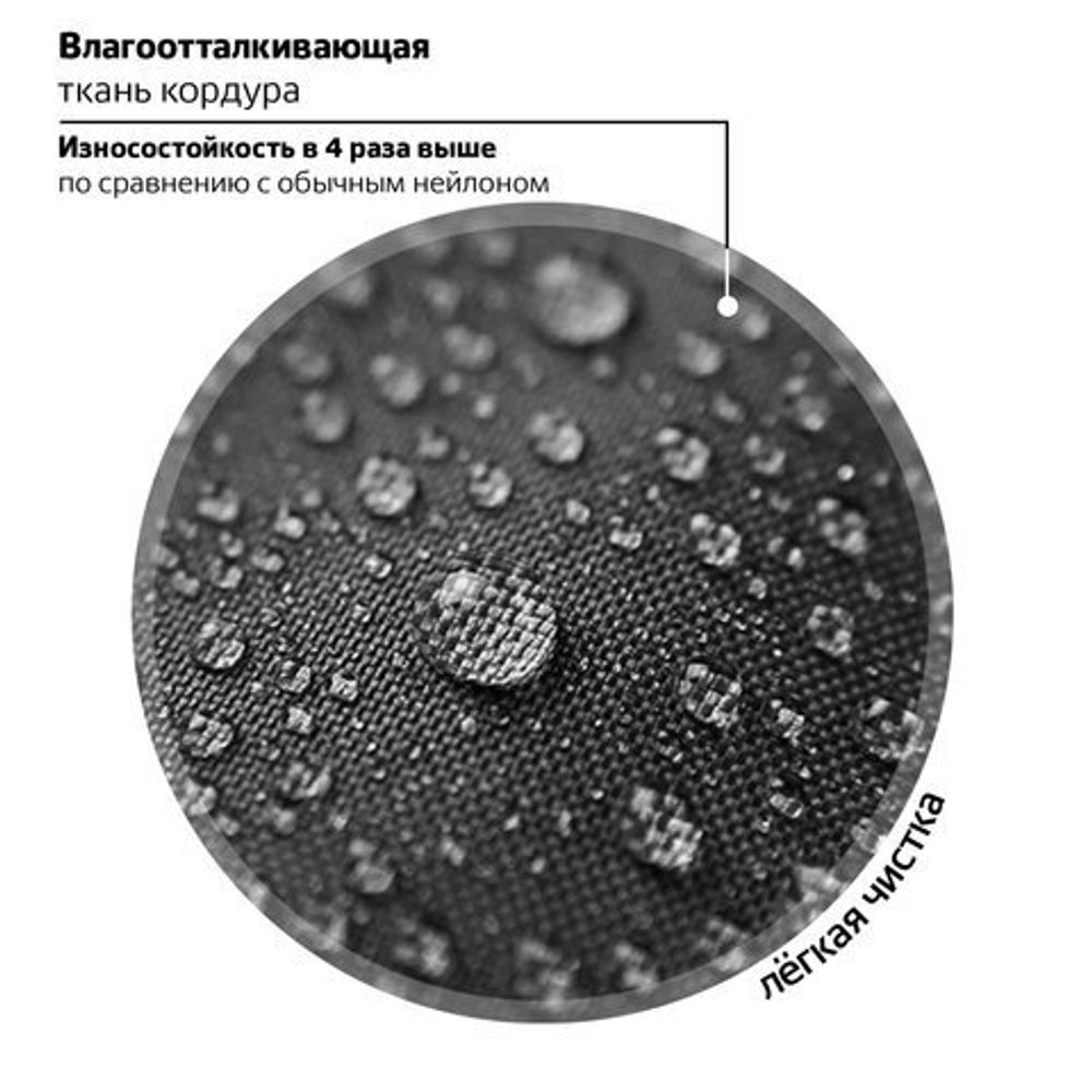 Ранец ЮНЛАНДИЯ LIGHT, 2 отделения, "Stay wild", 38х29х16 см, 270609