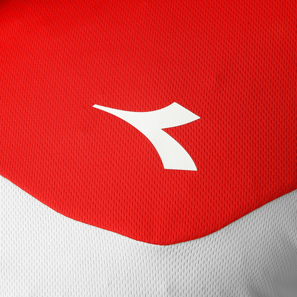 Мужское теннисное поло Diadora Court Polo Men - White, Red