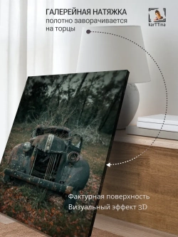 Картина на стену Одноглазый пират 30х40см 1шт.
