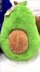 Avakado ( qunduz )
