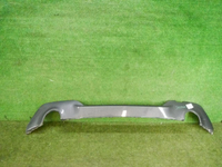DSCN6016.jpg