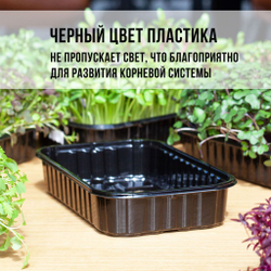 Лоток для выращивания свежей микрозелени / 18*11*5,5 см / 20 шт.