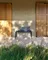 Doga Bench