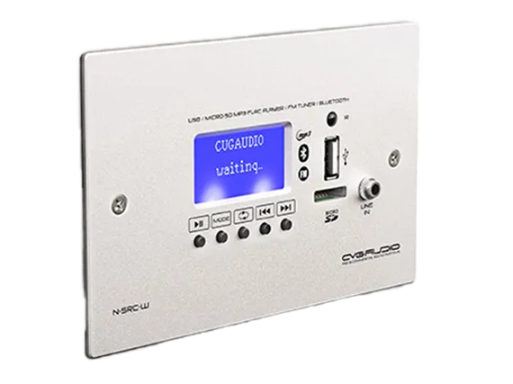 CVGAUDIO N-SRC-W