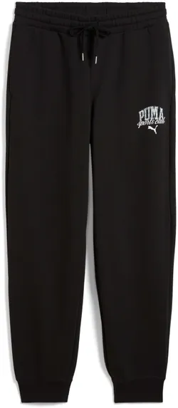 Брюки спортивные женские PUMA CLASS Comfort Sweatpants TR cl