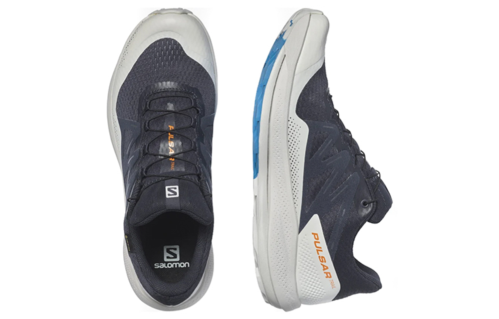 SALOMON Pulsar Trail Gtx "Night Sky" / L00