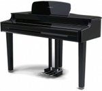 Kurzweil X-Pro MPG200