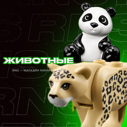Животные