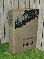 В лесах. Книга 2