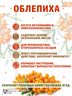 Набор 2 шт. мармелад из облепихи на агаре, без ГМО, без консервантов, ароматизаторов и красителей, Шуйские ягоды, 250г