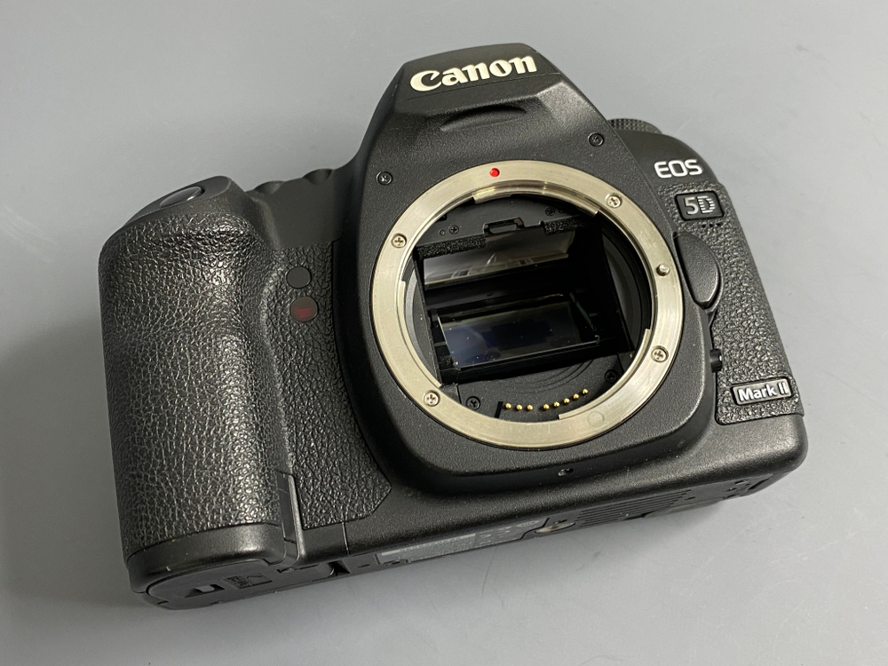 Canon 5D Mark II 35.000 кадров