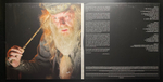 Harry Potter And The Goblet Of Fire - Original Motion Picture Soundtrack 2LP (Европа 2018г.) Picture