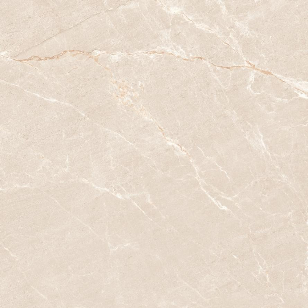 Neodom Sale Persian Beige Matt 120x120