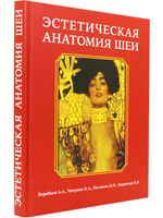 Эстетическая анатомия шеи