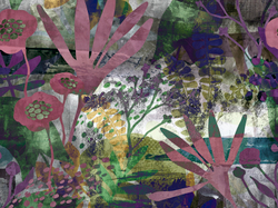 ASTRAL 16