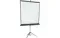 LMV-100109 Экран на штативе Lumien Master View