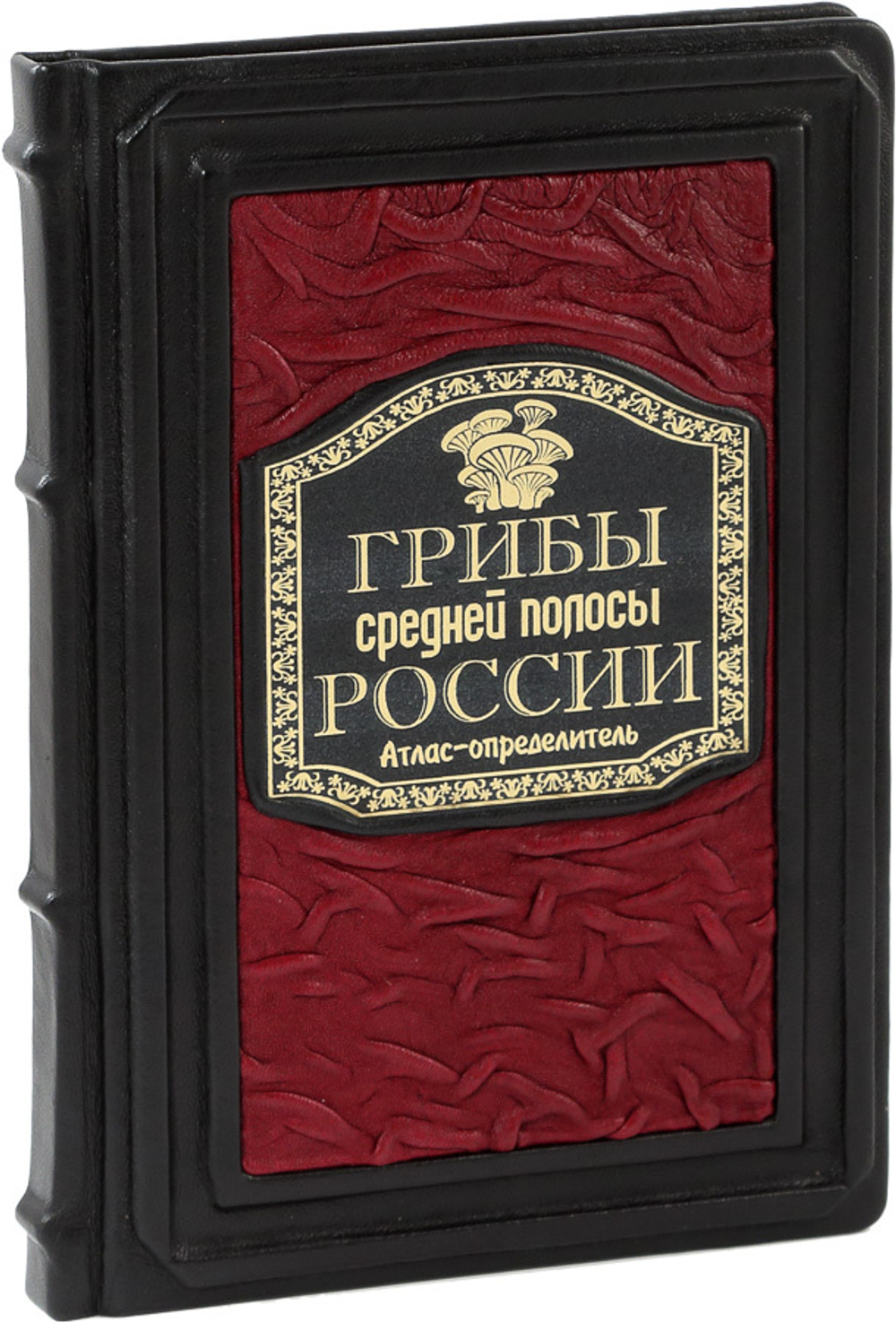 Грибы средней полосы России