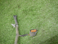 DSCN1962.JPG