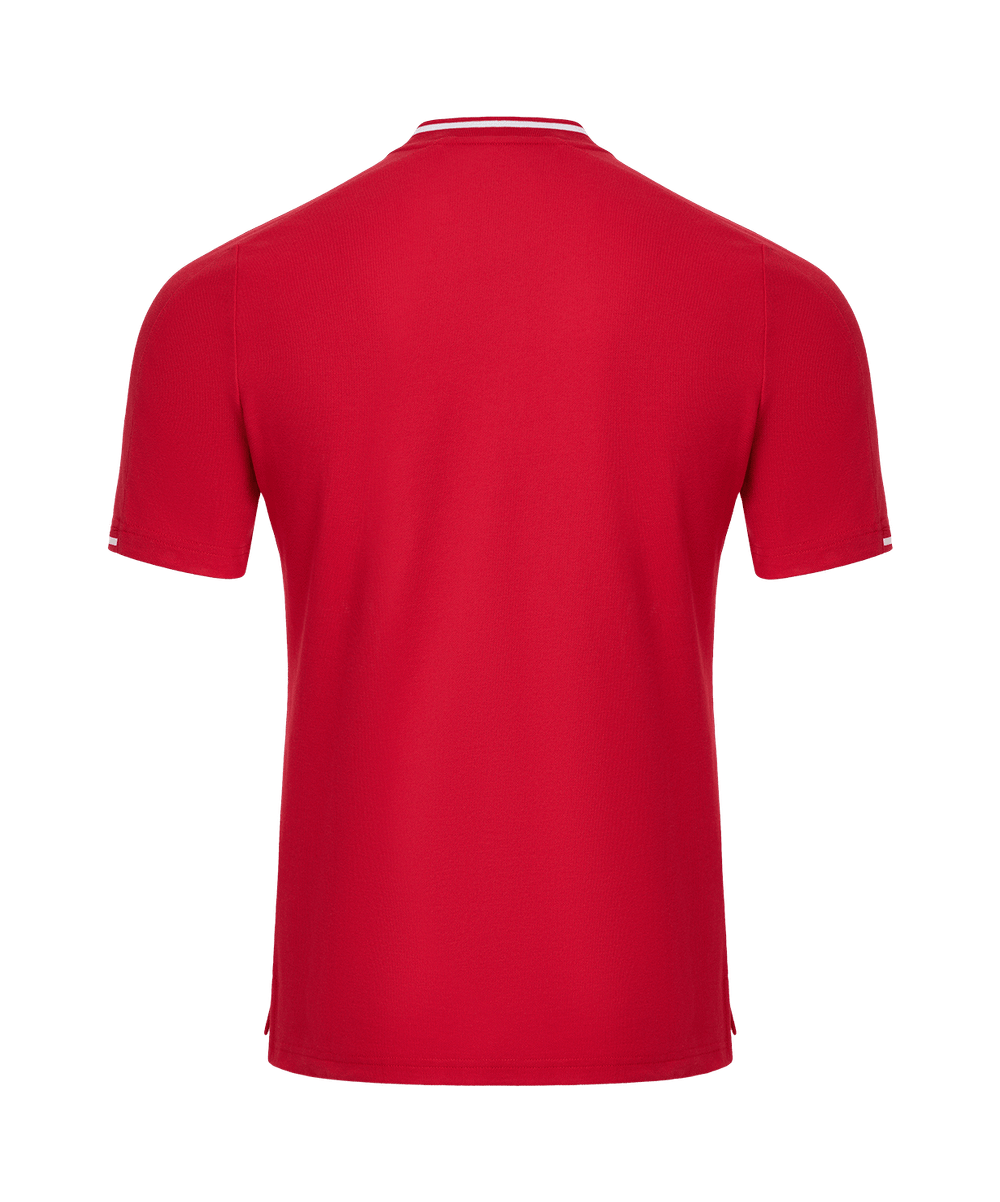 Поло DIVISION PerFormDRY Polo, красный