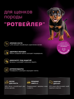 Корм сухой для щенков породы Ротвейлер, с говядиной, 12 кг, QUATTRO