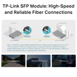 Трансивер TP-Link Omada SM321B-2