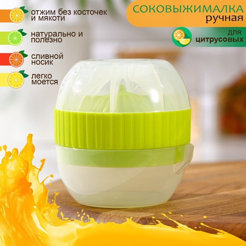 Соковыжималка для цитрусовых с лотком и крышкой, d=7.5 см, 7×8 см