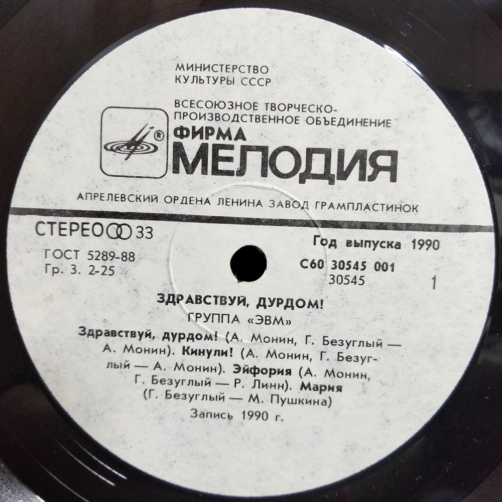 ЭВМ / Здравствуй, Дурдом! (LP)